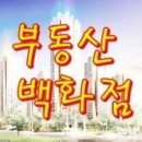 21C 공인중개사사무소 이미지