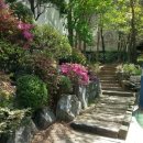 신공덕공인중개사사무소 이미지