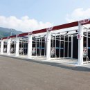 셀세모 금붕점 이미지