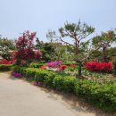 사마리타군산요양원 이미지