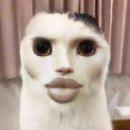 아이러브유(I.LOVE.YOU) 이미지