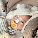 GS25 정든마을점 | 6개월 아기랑 속초, 고성 2박 3일 여행기(정든식당, 속초 예스닭강정, 고성 회제작소, 백촌막국수, 카페...