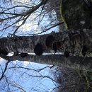 강림면352 이미지