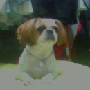 도화오거리 이미지