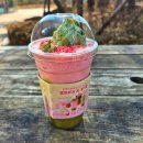 계양효성해링턴아파트 앞 횡단보도 | 메가커피 메뉴 가격 추천 신메뉴 칼로리 말차젤라또 딸기프라페