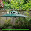 역삼싱글리빙텔