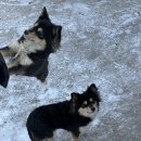 무주조은펜션 이미지