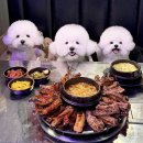 백구스포츠 | 발산역 애견동반식당 중랑등갈비 강서구 마곡 구워주는 등갈비 맛집