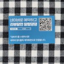 원더플독 이미지