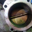 장일카센타 이미지