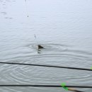 청풍낚시터 이미지