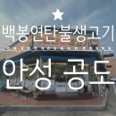 백봉연탄불생고기