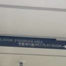 퀸 애견 이미지