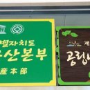 자연나무병원