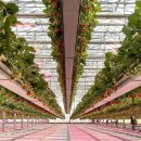 화성개발㈜ | 현재 모집 중인 스마트팜 관련 일자리, 교육 및 취업 지원 프로그램과 채용 전략 알아보기