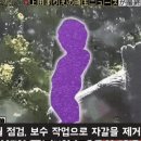 요로결석 수술했다는 일본 오줌싸개 동상 ㄷㄷ 이미지