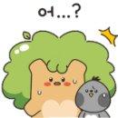 닥터김동물의료센터 이미지