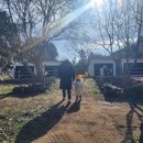 강수목장 이미지