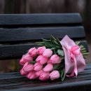 오늘은 좀 시원 하지요 이미지