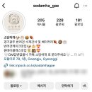 소담하개 이미지