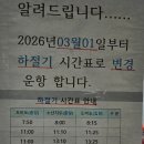 당진 도비도항 배편 완벽 정리 차량 선적 꿀팁부터 난지도 벚꽃 여행까지