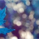 블루 blue 이미지