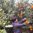 길자농장 이미지