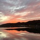 호반로(상아동) | [안동단풍] 은행나무가 예쁜 피크닉 명소 낙강물길공원 / 노을 명소 월영교 / 경치맛집 안동루