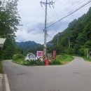 숲속시골닭