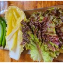 범박동 점심특선 순삭! 정담은보쌈 보쌈정식 보쌈맛집 내돈내산 만원의행복