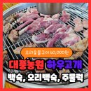 버들농원 | 시흥 하우고개맛집 대풍농원