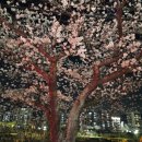 알천남로 이미지