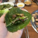 꼴통막창 - 진주시 진주대로542번길 5-8 | 꼴통막창