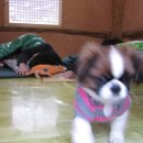 안성운모석캠핑장 이미지