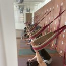 건강요가(월) 이미지