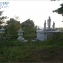 포항시남구3 이미지