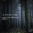 1월도 열심히(?) 살았습니다
