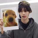 놀자