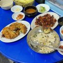 성모유치원 | 내 다리 갈아 넣은 부산 2박 3일 혼여행🌊(뚱보집,자이콥21,러브이즈기빙,분홍이네,자매국밥,부센동...