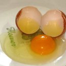 이지앤메디칼 이미지