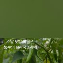 대박기원농장 이미지