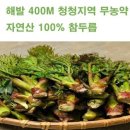 청청농부 이미지