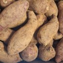 꿀이농장 이미지