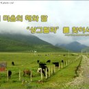 해와달 - 논산시 | 해와달