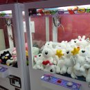 개이득뽑기방 이미지