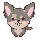 오드리 애견미용실 이미지