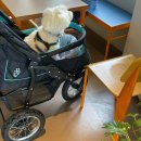 댕댕이뽀샵 | 파주 피스피스 반려동물 실내동반 카페, 파주롯데아울렛 푸드코트 애견동반가능 후기