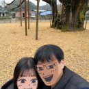 의령 세간리 은행나무 | 은행나무 명소 경남 의령 세간리 현고수 은행나무