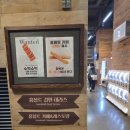 키즈노트 | 주렁주렁 영등포 후기 🐾 키즈노트 할인으로 다녀온 리얼 체험기