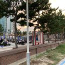 청간정콘도 카라반 캠핑장 네이버블로그